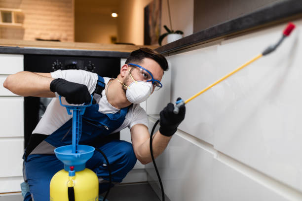 Best Pest Removal Services  in Csar Chvez, TX