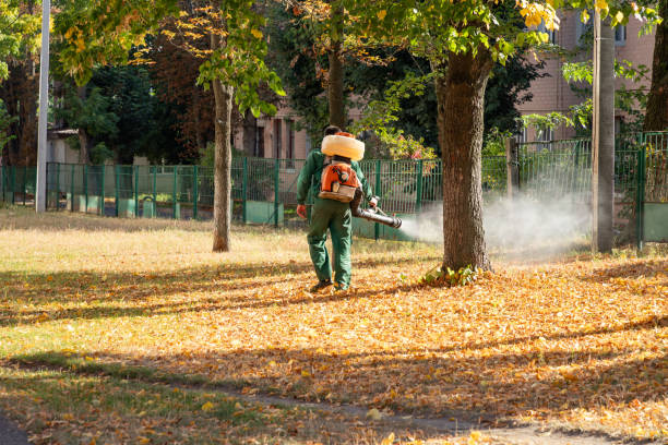 Best Exterminator Services  in Csar Chvez, TX